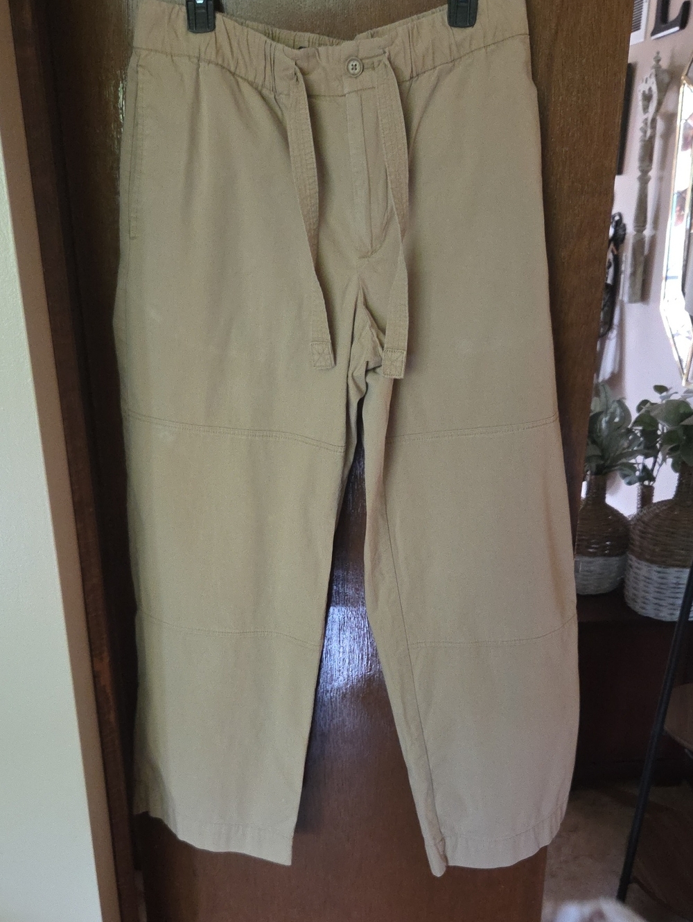 Banana Republic Tan Drawstring Chinos